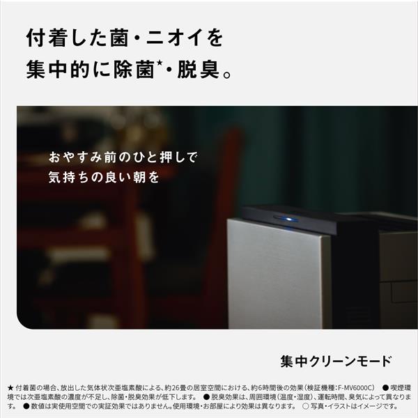 Panasonic 次亜塩素酸 空間除菌脱臭機 ziaino（ジアイーノ）【適用畳数