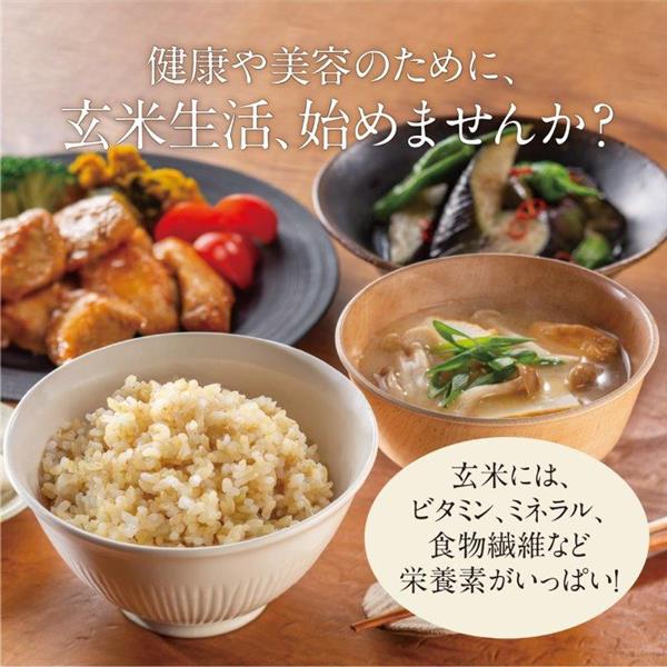 MITSUBISHI NJ-VE18F-W IH炊飯ジャー【1升炊き/本炭釜紬/大家族向け/月