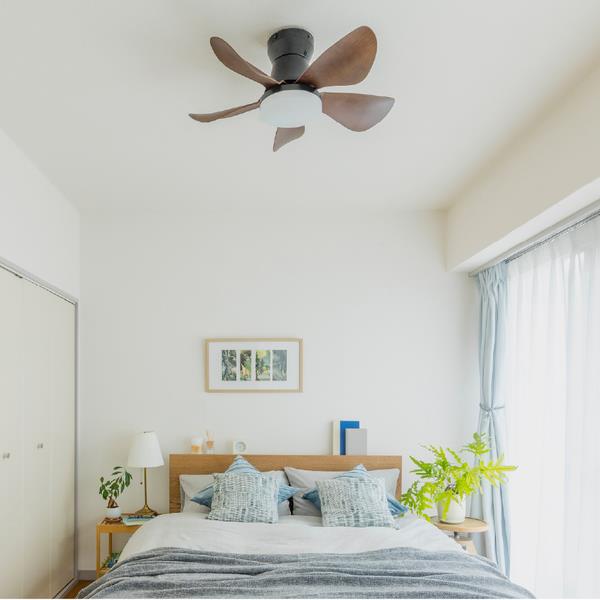 ホタルクス LEDシーリングファン 【～6畳/軽量・コンパクト/LED調色