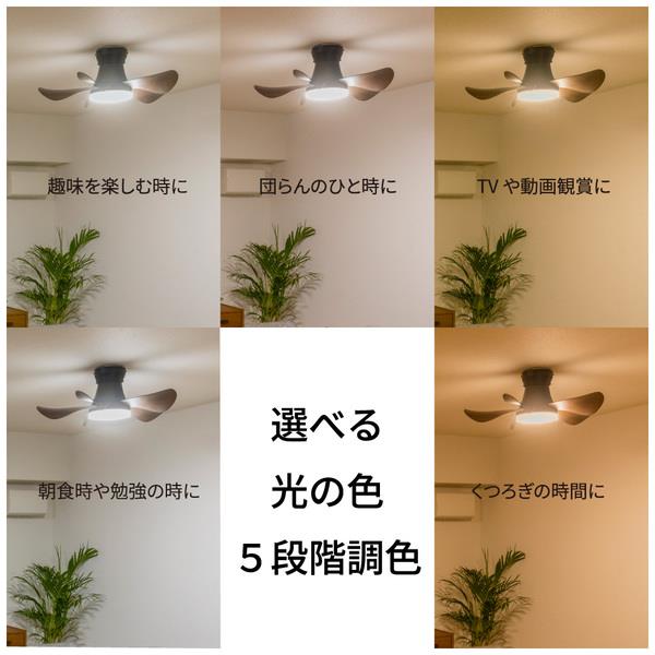 ほたる ホタルクス LEDシーリングファン 【～6畳/軽量・コンパクト/LED調色