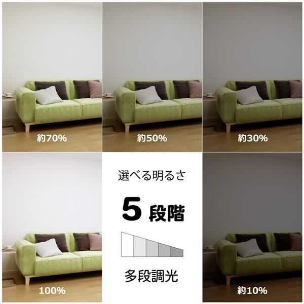 ホタルクス LEDシーリングライト[デュアルクロームデザイン]【5499lm