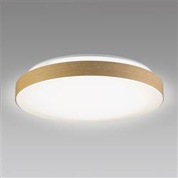 ホタルクス HLDC12432SG