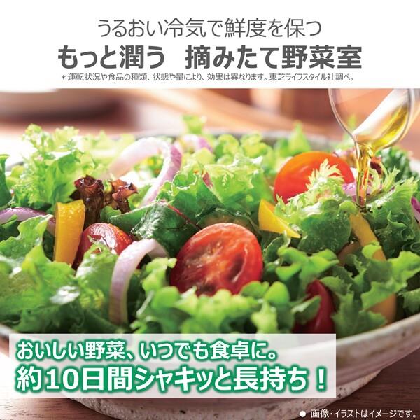 ♡ぴよにん♡ たべっ子どうぶつ80箱&ポット系3個 まとめ売りセット‼️ Amazon | LITHON ライソン たべっ子どうぶつ 替えプレートA 4