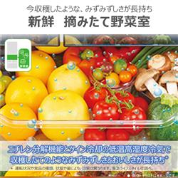 TOSHIBA GR-W510FK-EC 冷蔵庫VEGETA 6ドア 観音開き 509L サテン TOSHIBA GR-W510FK-EC 冷蔵庫VEGETA 6ドア 観音開き 509L サテン