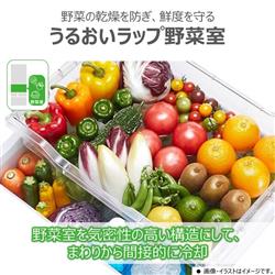 TOSHIBA GR-Y41GH-WU 冷蔵庫VEGETA【5ドア/右開き/411L/マット