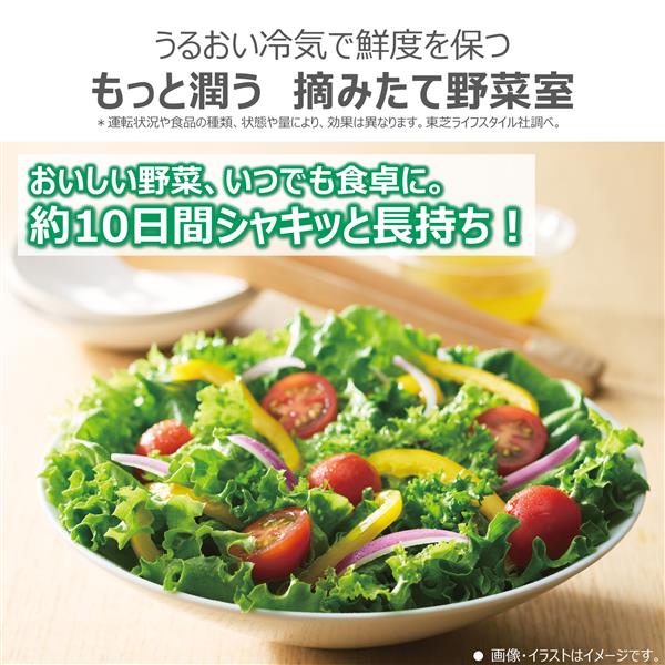 TOSHIBA 冷蔵庫VEGETA【5ドア/左開き/452L/フロストグレージュ