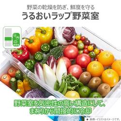 TOSHIBA 冷蔵庫VEGETA[5ドア/右開き/411L/グランホワイト TOSHIBA 冷蔵庫VEGETA[5ドア/右開き/411L/グランホワイト