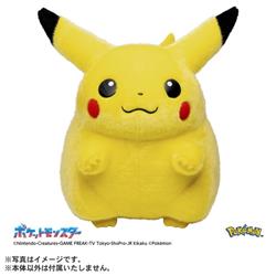 ポケモン30周年記念 おかえり!ピカチュウ1/1