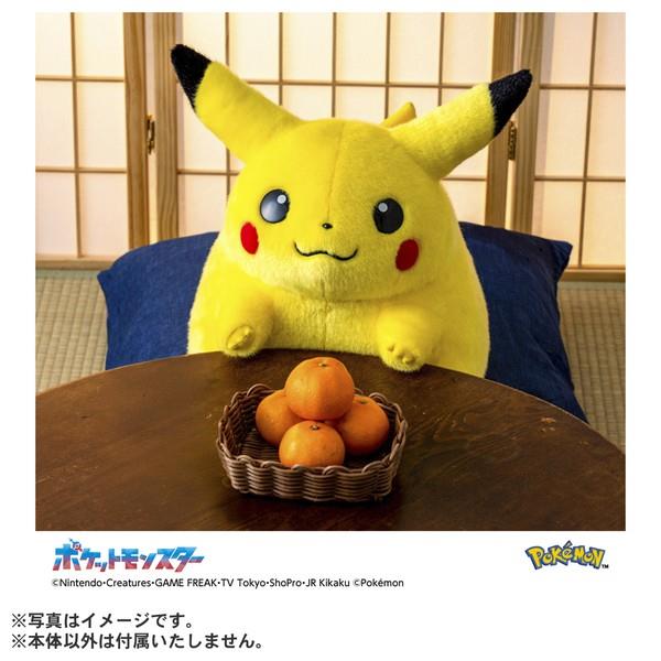 シークレット販売商品】ポケモン30周年記念 おかえり!ピカチュウ1/1