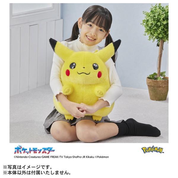 シークレット販売商品】ポケモン30周年記念 おかえり!ピカチュウ1/1