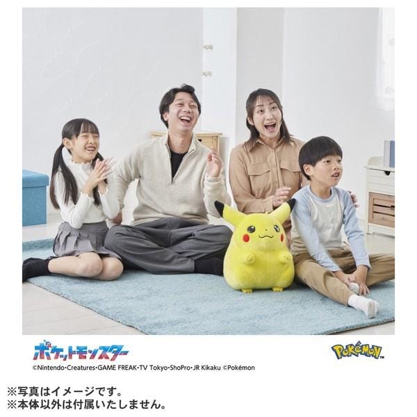 シークレット販売商品】ポケモン30周年記念 おかえり!ピカチュウ1/1