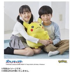 シークレット販売商品】ポケモン30周年記念 おかえり!ピカチュウ1/1