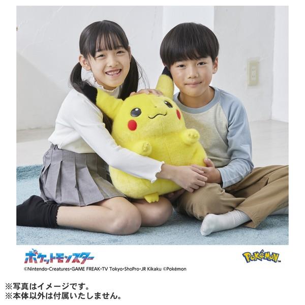 シークレット販売商品】ポケモン30周年記念 おかえり!ピカチュウ1/1