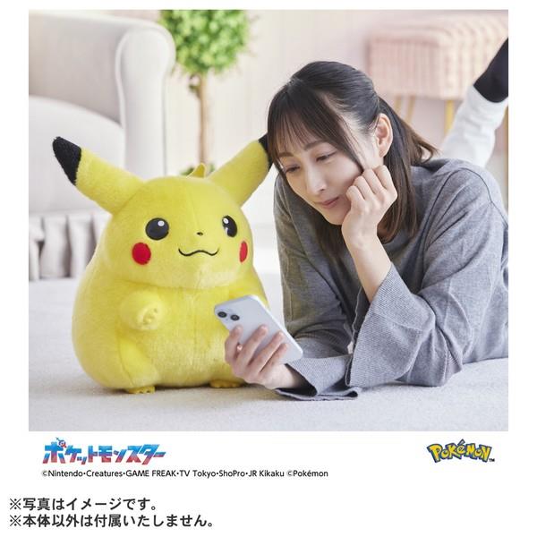 ポケモン30周年記念 おかえり!ピカチュウ1/1 | ノジマオンライン