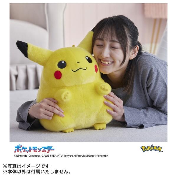 シークレット販売商品】ポケモン30周年記念 おかえり!ピカチュウ1/1