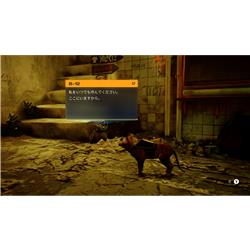 Switch Stray コレクターズエディション Stray Collector's Edition (Nintendo Switch game) Japan