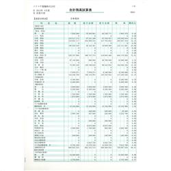 SR4501 合計残高試算表