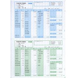 SR210 給与・賞与明細書(明細型)500枚入