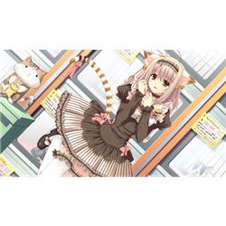 entergram HAC-P-BKARA 【Switch】 世界征服彼女 通常版