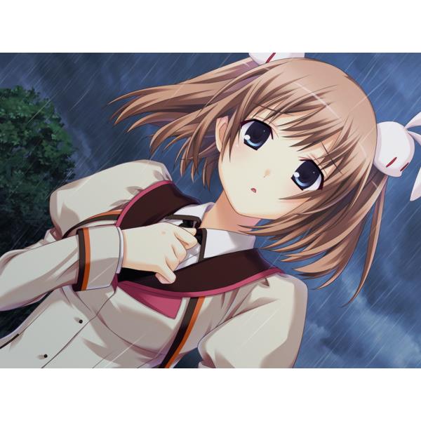 entergram HAC-P-BNSZA 【Switch】 bitter smile.(ビター