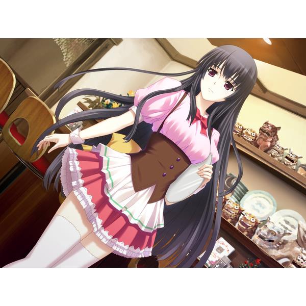 Switch】 bitter smile.(ビタースマイル) 完全生産限定版