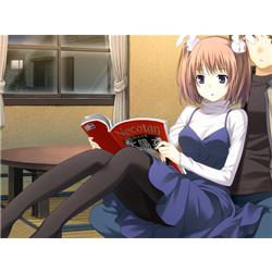 entergram EGCS-00317 【Switch】 bitter smile.(ビタースマイル