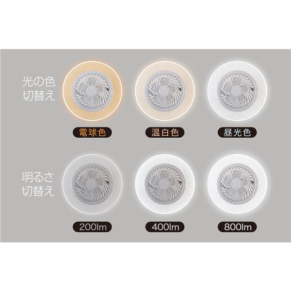 大進 ライトとファンが一体となっており、換気にもご使用頂けます