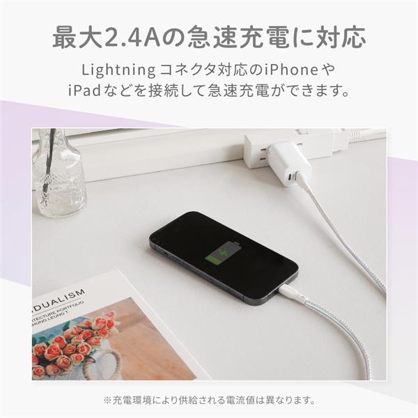 10個セット ロジテック2.4ALightningライトニング充電器 10個セットロジテック2.4ALightningライトニング充電器の通販 by