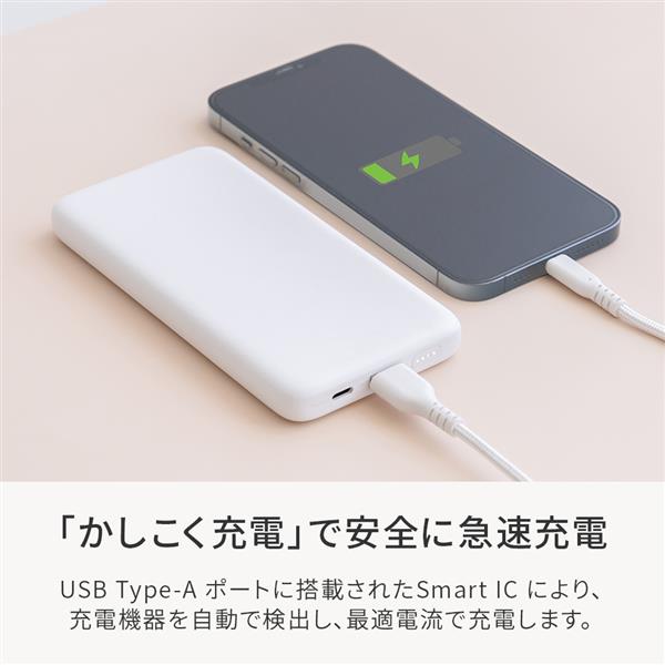 オウルテック 10000mAh 薄型モバイルバッテリー ブラック OWL-LPB10013