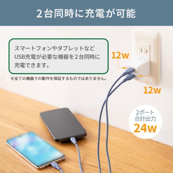 ogeluoc 美顔器 ホワイト USB充電 耐雷USB充電器A＆C付PD20（ホワイト） | ELPA | CHR
