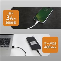 オウルテック USB A to USB C ブレイデッドケーブル 120cm ブラック