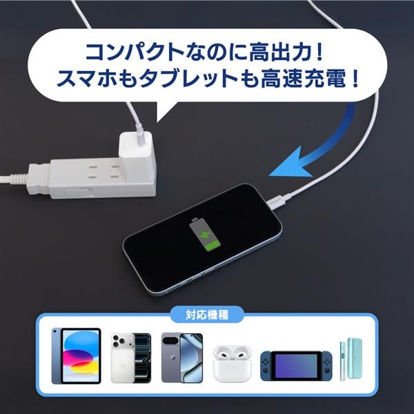 オウルテック USB Cケーブル付PD30W対応AC充電器ホワイト OWL