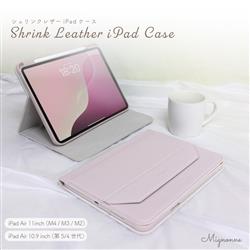 オウルテック OWL-CVIT110MIN02-PU