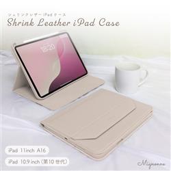 オウルテック OWL-CVIT110MIN01-BE