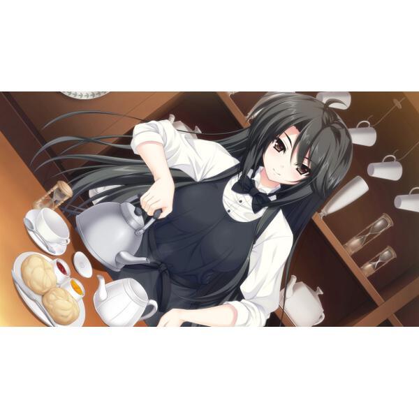 Vita】 イエティベスト 古色迷宮輪舞曲～La Roue de fortune