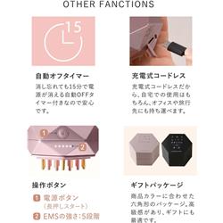 ATEX ルルドボーテ EMSリフトブラシ 【ピンク】 AX-NBL506 | ノジマ