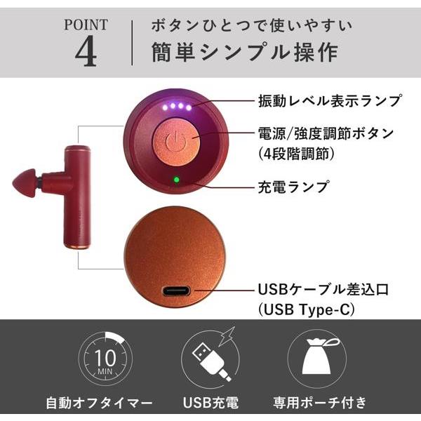ATEX ルルドガンプラスアーム しなる専用アーム コードレス ブラック