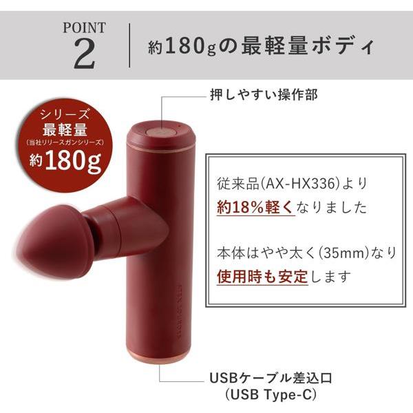 ATEX ルルドガンプラスアーム しなる専用アーム コードレス ブラック