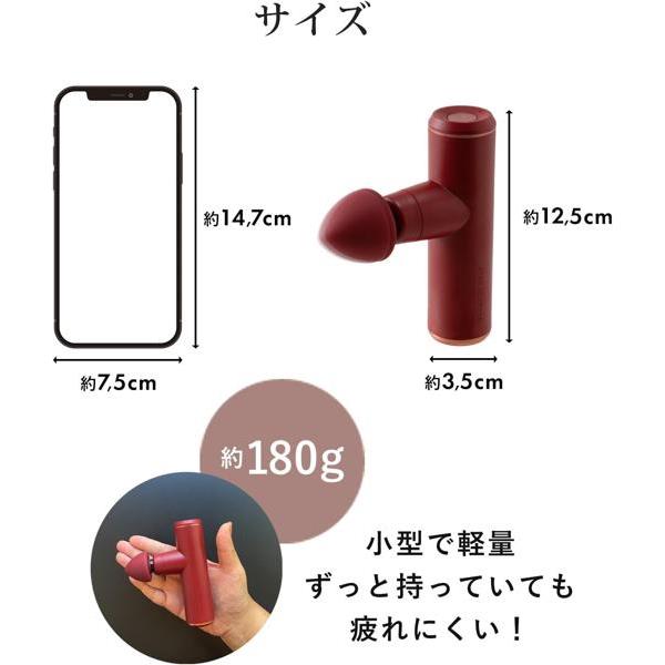 ATEX ルルドガンプラスアーム しなる専用アーム コードレス レッド AX