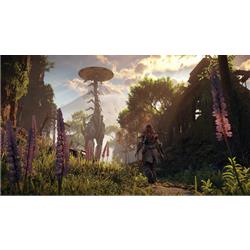 プレステ5 本体 新品未使用 ホライゾン HORIZON SIE Horizon Forbidden West スタンダードエディション [PS5