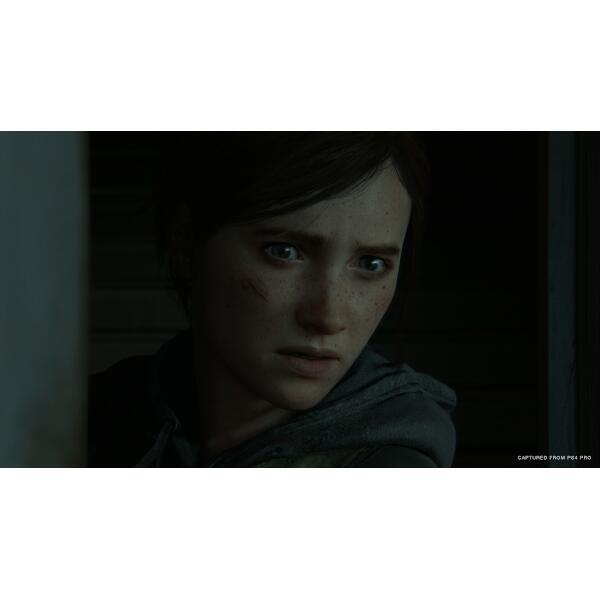 SIE PCJS-66061 【PS4】 The Last of Us Part II(ラストオブアス