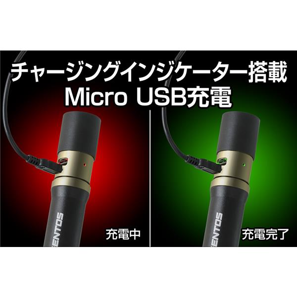 GENTOS LEDフラッシュライト レクシード【懐中電灯/明るい/USB充電式