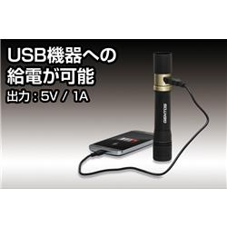 GENTOS LEDフラッシュライト レクシード【懐中電灯/明るい/USB充電式