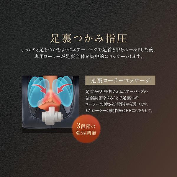 フジ医療器 マッサージチェア CYBER-RELAX【5D-AI NAVIGATION/41種類の