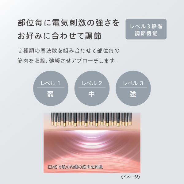 SYNCA SYB-F1 bigan k 3way美顔器 | ノジマオンライン