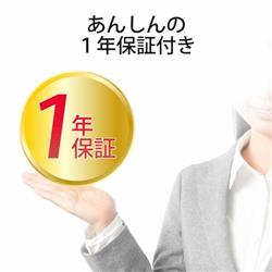 NINTENDO SWITCH(TM)検証済み microSDカード - GM-MFMS256G