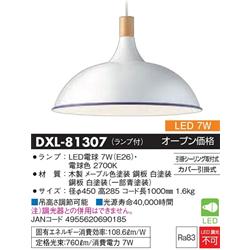 大光電機 DXL-81307