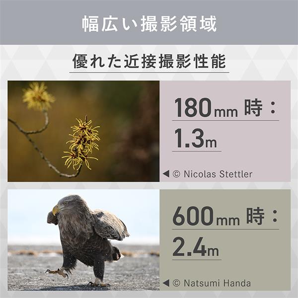 Nikon 【フルサイズ】【超望遠】FXフォーマット用ズームレンズ NIKKOR