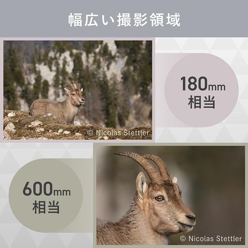 Nikon 【フルサイズ】【超望遠】FXフォーマット用ズームレンズ NIKKOR