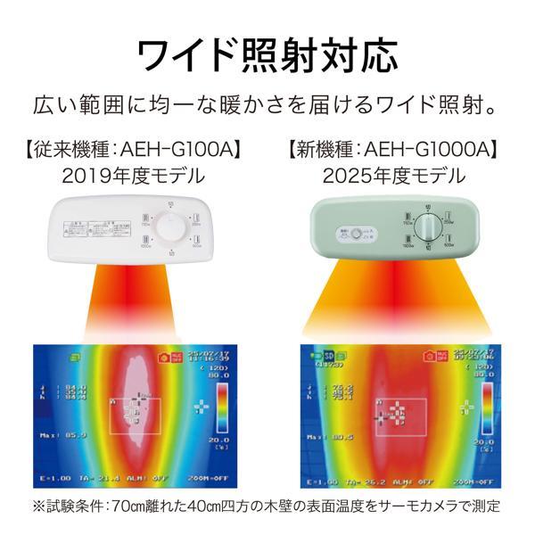 アラジン 電気ストーブグラファイトヒーター 4段切替 首振り グリーン